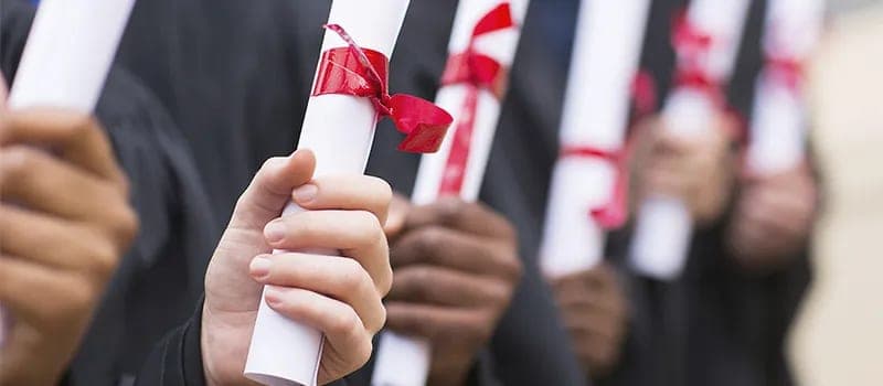 Trade School vs. College vs. Community College: Core Differences